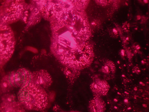 fieldgemology.org where passion for gemology (gemmology) and traveling ...